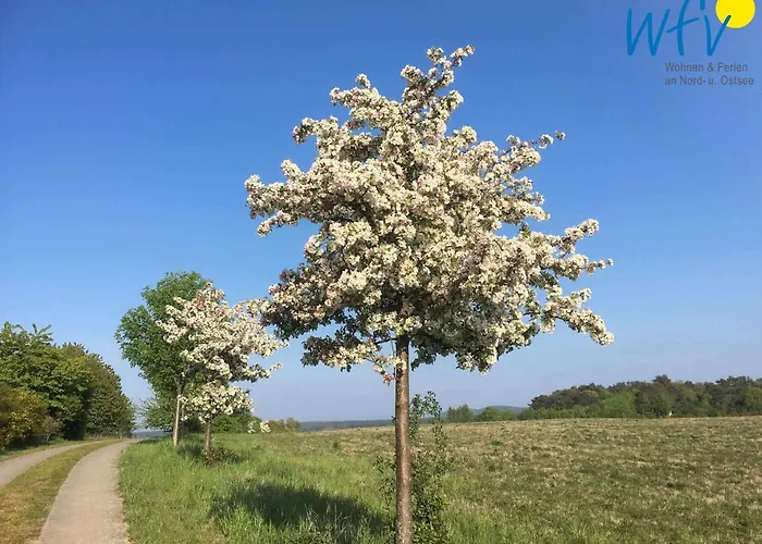 Having * Sellin (Rugen)